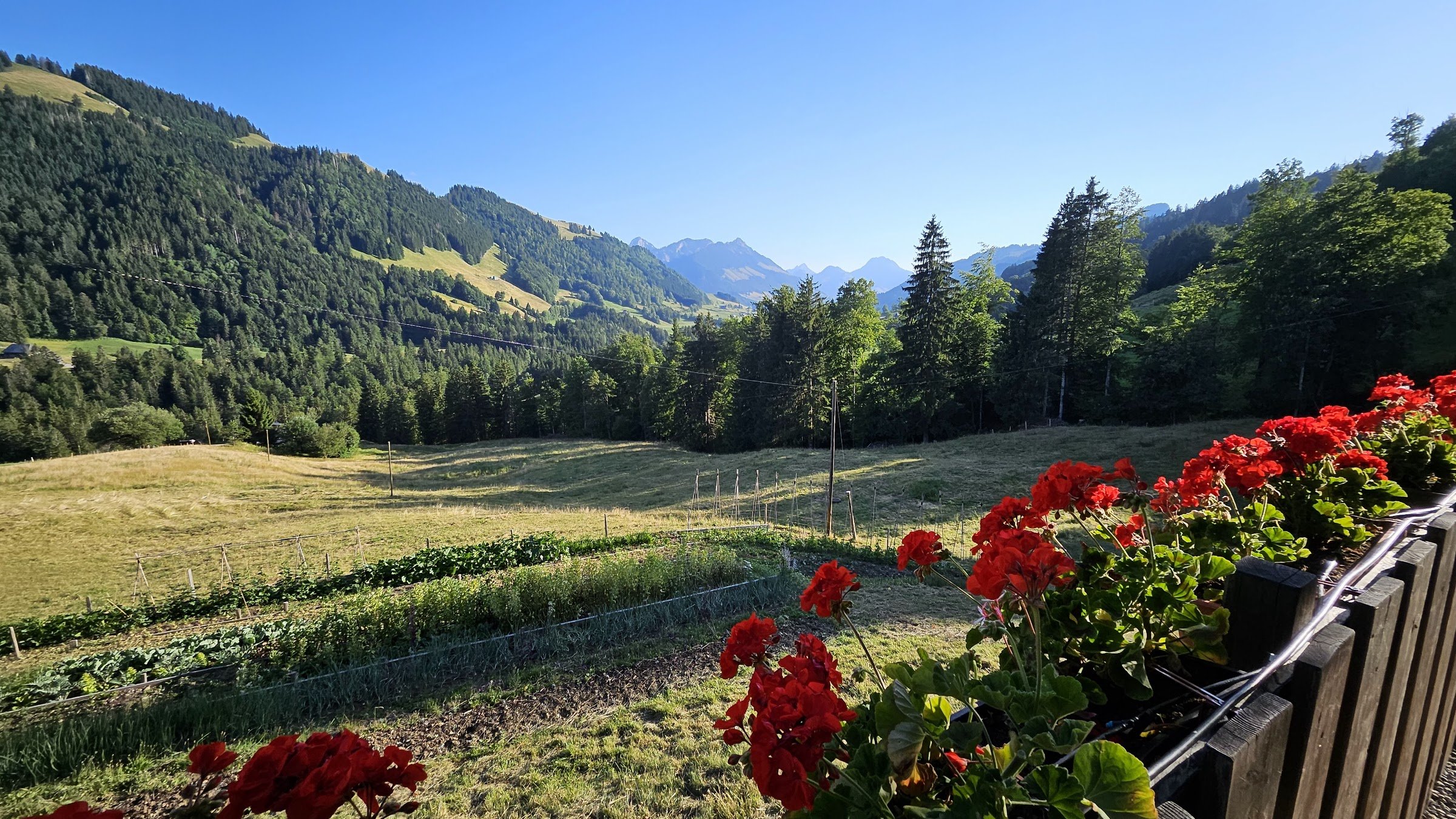 La Pinte des Mossettes